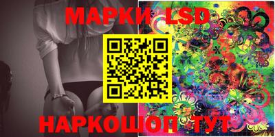 гашик Моздок