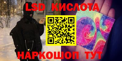 гашик Моздок