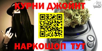 гашик Моздок