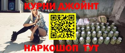 гашик Моздок