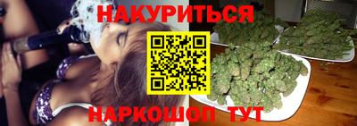 гашик Моздок