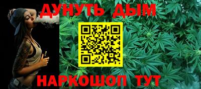 гашик Моздок