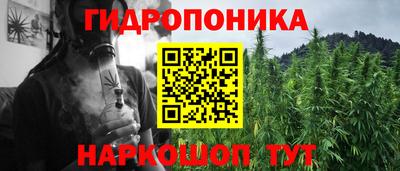 гашик Моздок