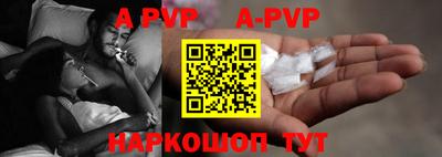 гашик Моздок