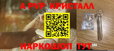 гашик Моздок