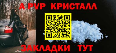 гашик Моздок