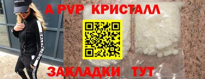 гашик Моздок