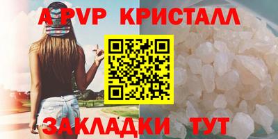 гашик Моздок
